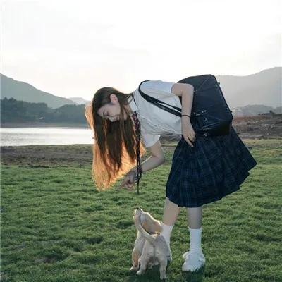 三只狼